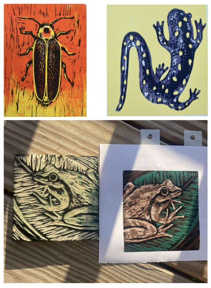 EAIR Climate ACKtion Printmaking & Posters: Protect Nantucket’s Nature, Ages 14+