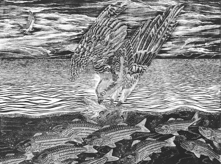 EAIR Collaborative Community Print Project, 16+