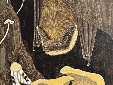 EAIR Exhibition Reception and Talk