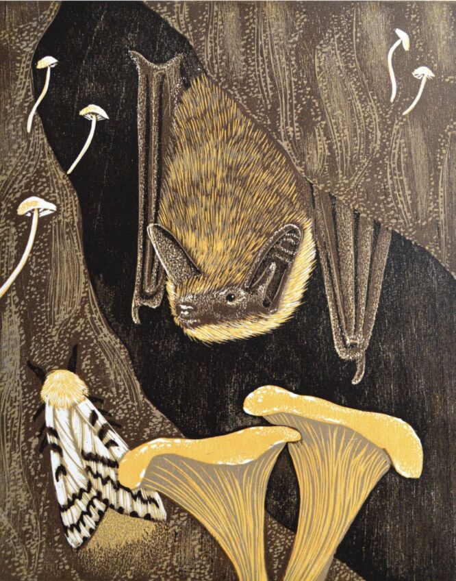 EAIR Exhibition Reception and Talk