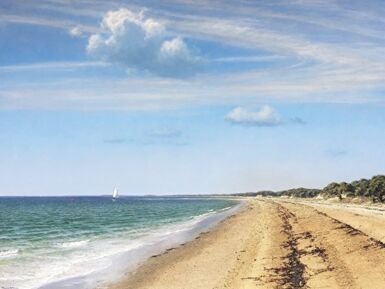 Painting the Nantucket Shoreline, 18+