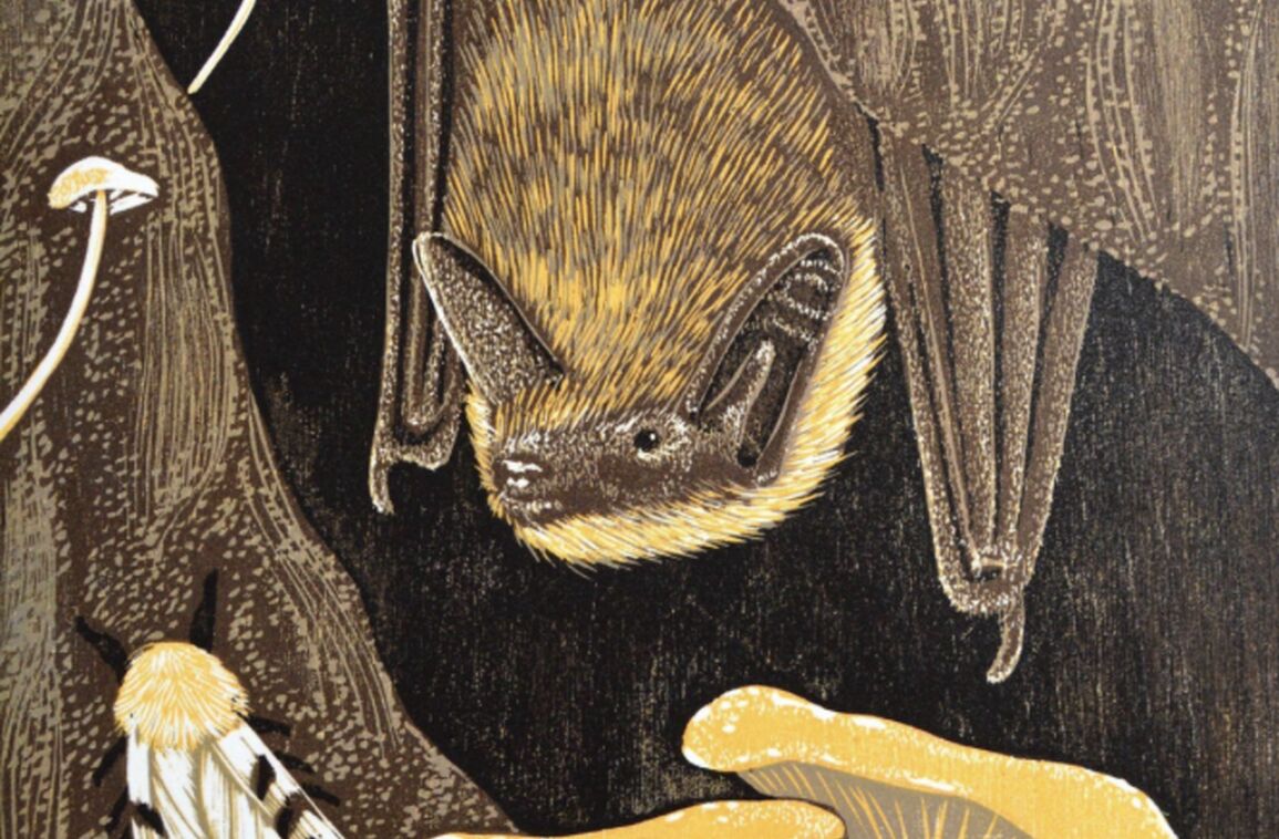 Environmental Artist in Residence Exhibition Reception and Talk